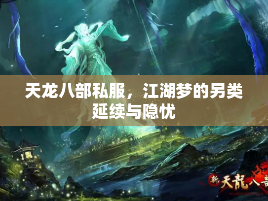 天龙八部私服，江湖梦的另类延续与隐忧