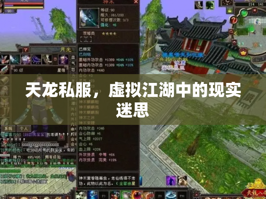 天龙私服，虚拟江湖中的现实迷思
