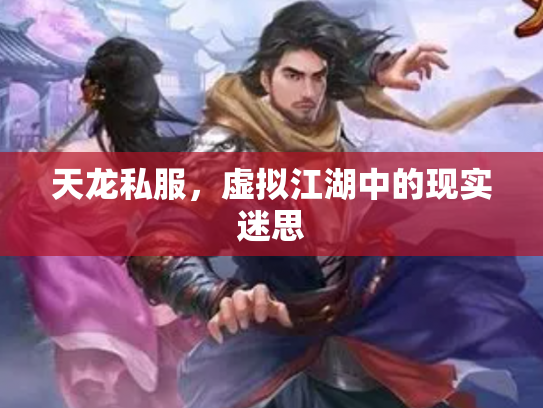 天龙私服，虚拟江湖中的现实迷思