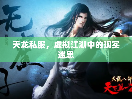 天龙私服，虚拟江湖中的现实迷思