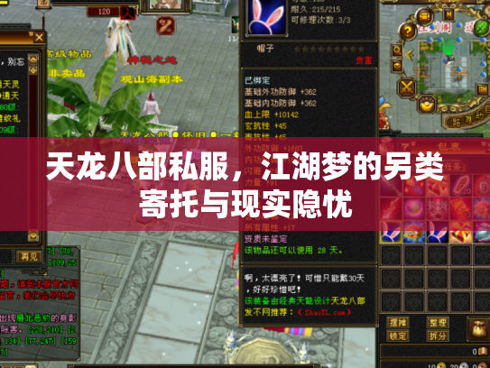 天龙八部私服，江湖梦的另类寄托与现实隐忧