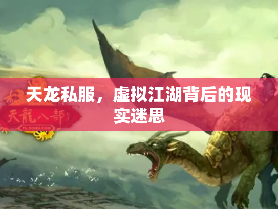 天龙私服，虚拟江湖背后的现实迷思