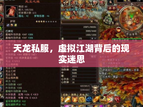 天龙私服，虚拟江湖背后的现实迷思