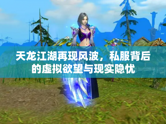 天龙江湖再现风波，私服背后的虚拟欲望与现实隐忧