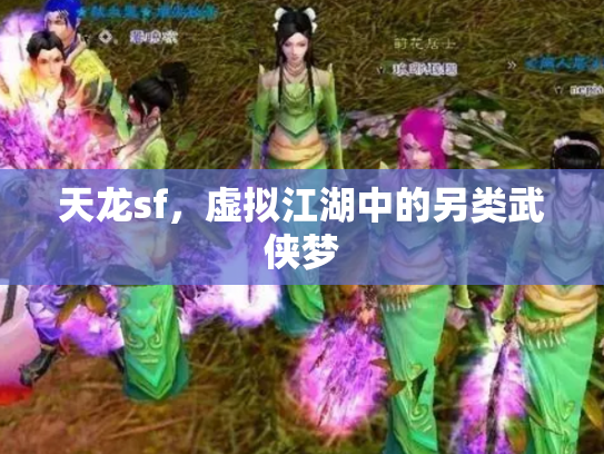 天龙sf，虚拟江湖中的另类武侠梦
