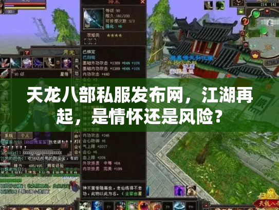 天龙八部私服发布网，江湖再起，是情怀还是风险？