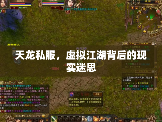 天龙私服，虚拟江湖背后的现实迷思