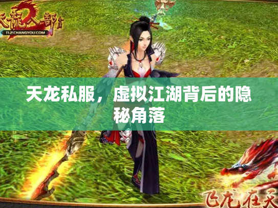 天龙私服,虚拟江湖背后的隐秘角落 天龙私服,虚拟江湖背后的隐秘角落