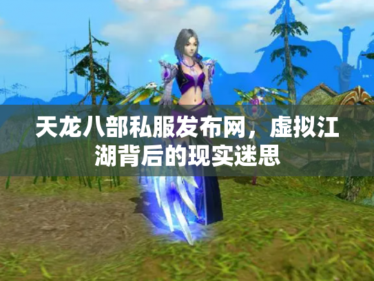 天龙八部私服发布网，虚拟江湖背后的现实迷思