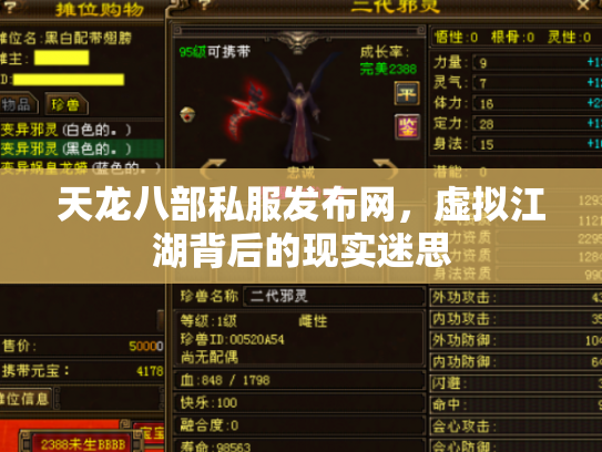 天龙八部私服发布网，虚拟江湖背后的现实迷思