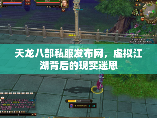 天龙八部私服发布网，虚拟江湖背后的现实迷思