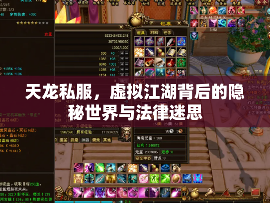 天龙私服，虚拟江湖背后的隐秘世界与法律迷思