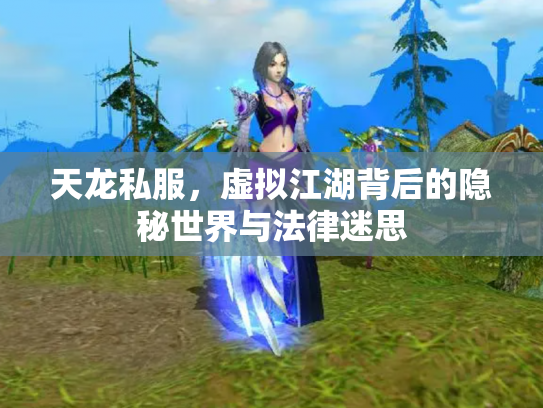 天龙私服，虚拟江湖背后的隐秘世界与法律迷思