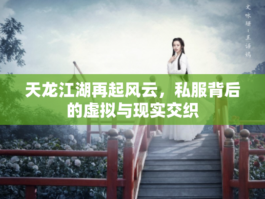 天龙江湖再起风云，私服背后的虚拟与现实交织