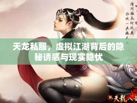 天龙私服，虚拟江湖背后的隐秘诱惑与现实隐忧