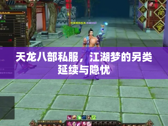 天龙八部私服，江湖梦的另类延续与隐忧