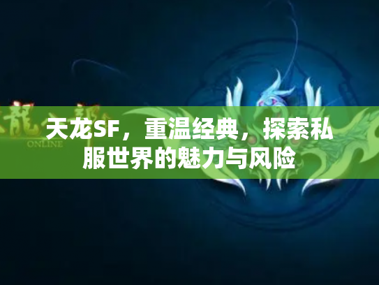 天龙SF，重温经典，探索私服世界的魅力与风险