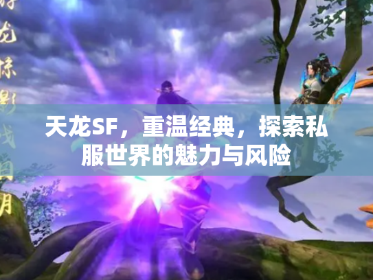 天龙SF，重温经典，探索私服世界的魅力与风险
