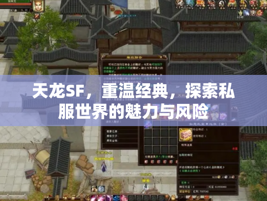 天龙SF，重温经典，探索私服世界的魅力与风险