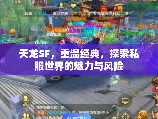 天龙SF，重温经典，探索私服世界的魅力与风险