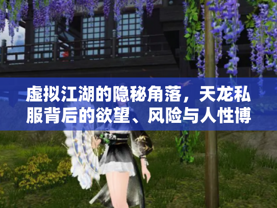 虚拟江湖的隐秘角落，天龙私服背后的欲望、风险与人性博弈