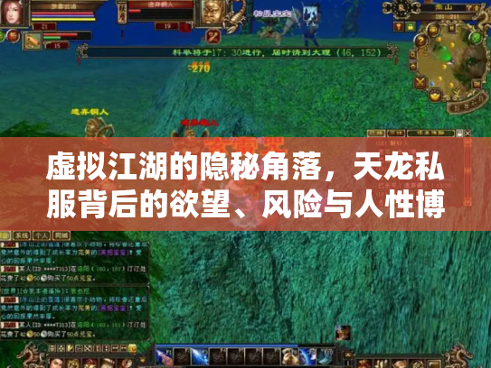 虚拟江湖的隐秘角落，天龙私服背后的欲望、风险与人性博弈