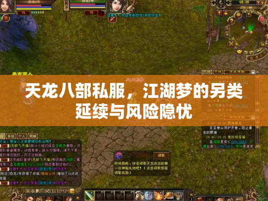 天龙八部私服，江湖梦的另类延续与风险隐忧