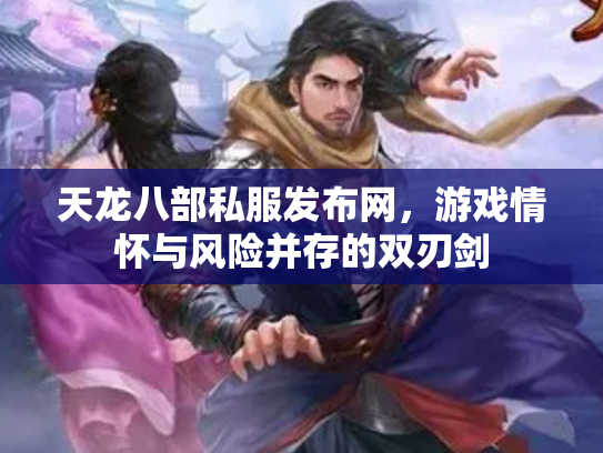 天龙八部私服发布网，游戏情怀与风险并存的双刃剑