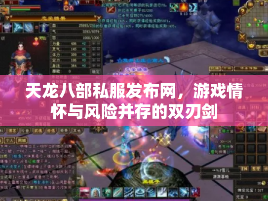 天龙八部私服发布网，游戏情怀与风险并存的双刃剑
