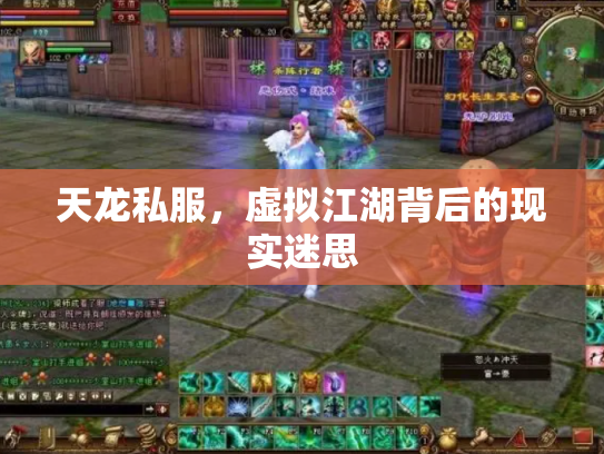 天龙私服，虚拟江湖背后的现实迷思