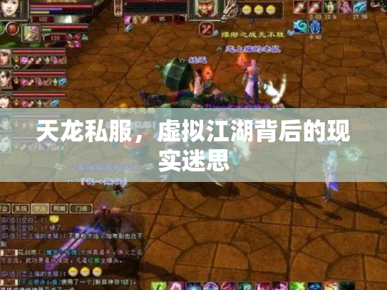 天龙私服，虚拟江湖背后的现实迷思