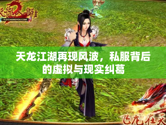 天龙江湖再现风波，私服背后的虚拟与现实纠葛