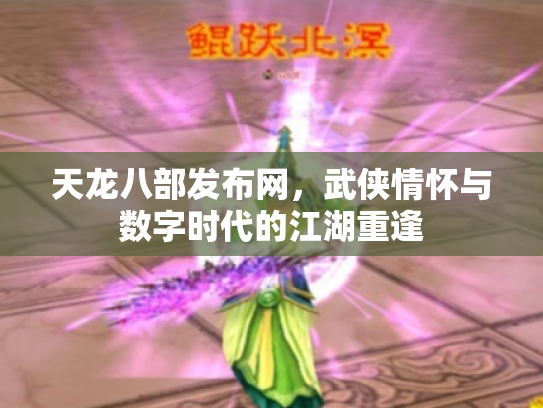 天龙八部发布网，武侠情怀与数字时代的江湖重逢