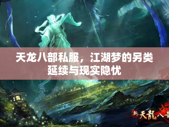 天龙八部私服，江湖梦的另类延续与现实隐忧