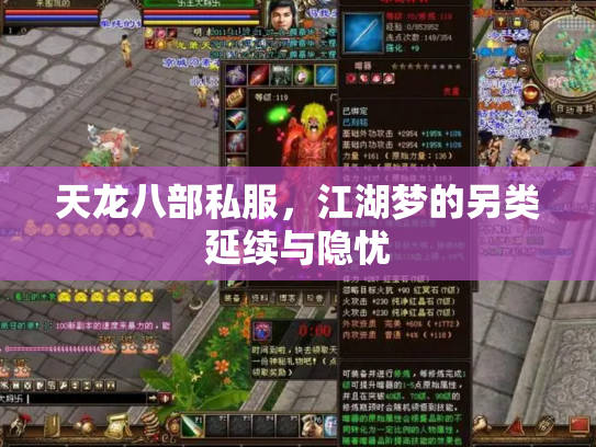 天龙八部私服，江湖梦的另类延续与隐忧