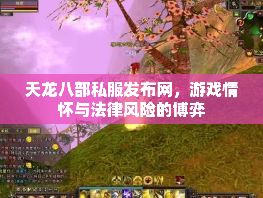 天龙八部私服发布网，游戏情怀与法律风险的博弈