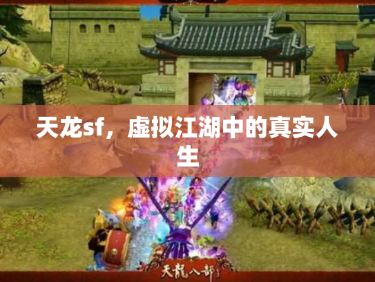 天龙sf，虚拟江湖中的真实人生
