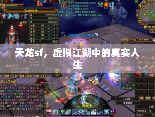 天龙sf，虚拟江湖中的真实人生