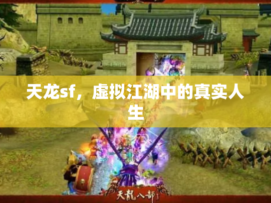天龙sf，虚拟江湖中的真实人生