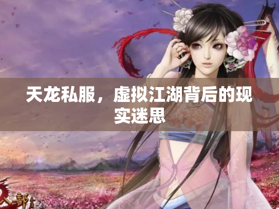 天龙私服，虚拟江湖背后的现实迷思