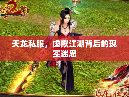 天龙私服，虚拟江湖背后的现实迷思
