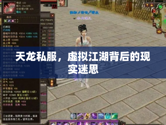 天龙私服，虚拟江湖背后的现实迷思