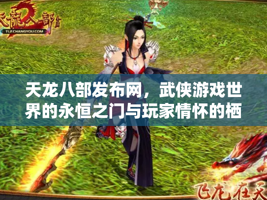天龙八部发布网，武侠游戏世界的永恒之门与玩家情怀的栖息地