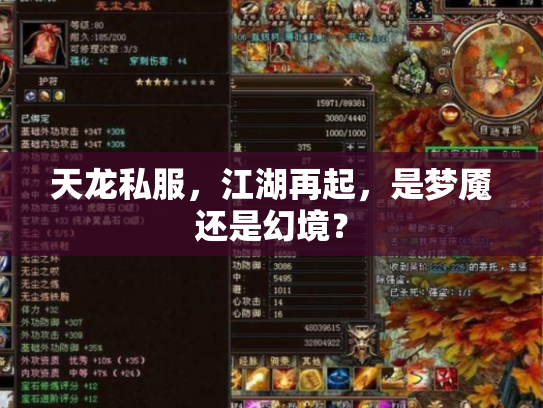 天龙私服，江湖再起，是梦魇还是幻境？