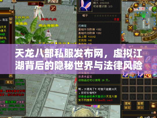 天龙八部私服发布网，虚拟江湖背后的隐秘世界与法律风险