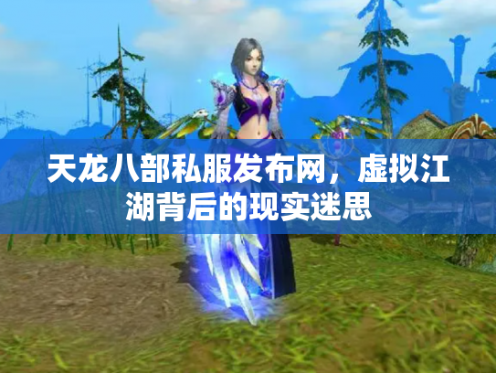 天龙八部私服发布网，虚拟江湖背后的现实迷思