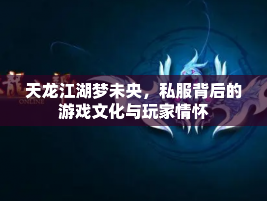 天龙江湖梦未央，私服背后的游戏文化与玩家情怀