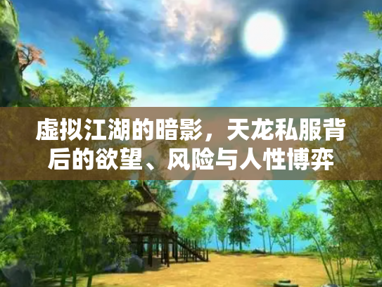 虚拟江湖的暗影，天龙私服背后的欲望、风险与人性博弈