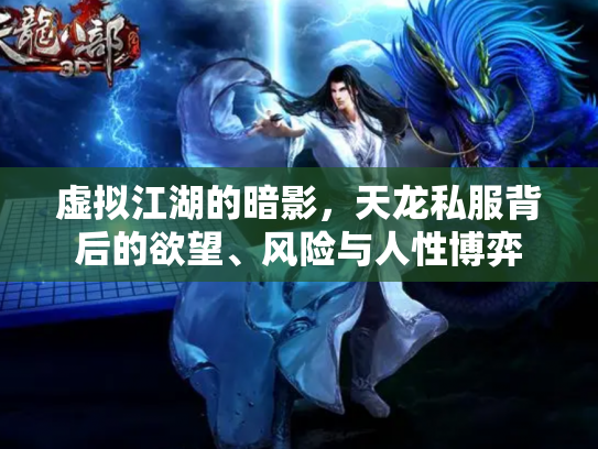 虚拟江湖的暗影，天龙私服背后的欲望、风险与人性博弈
