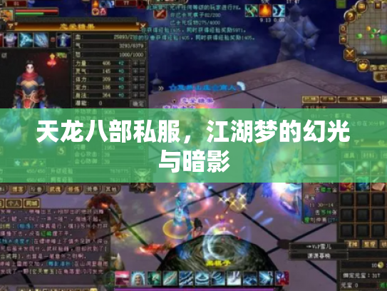 天龙八部私服，江湖梦的幻光与暗影